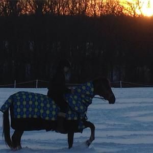 Meet your Posher, Heather